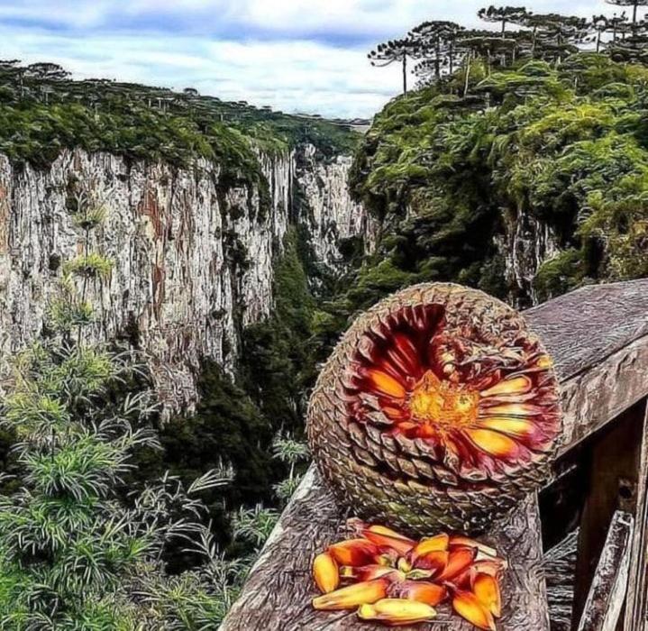 Pousada Encanto dos Cânions Cambará Exterior foto